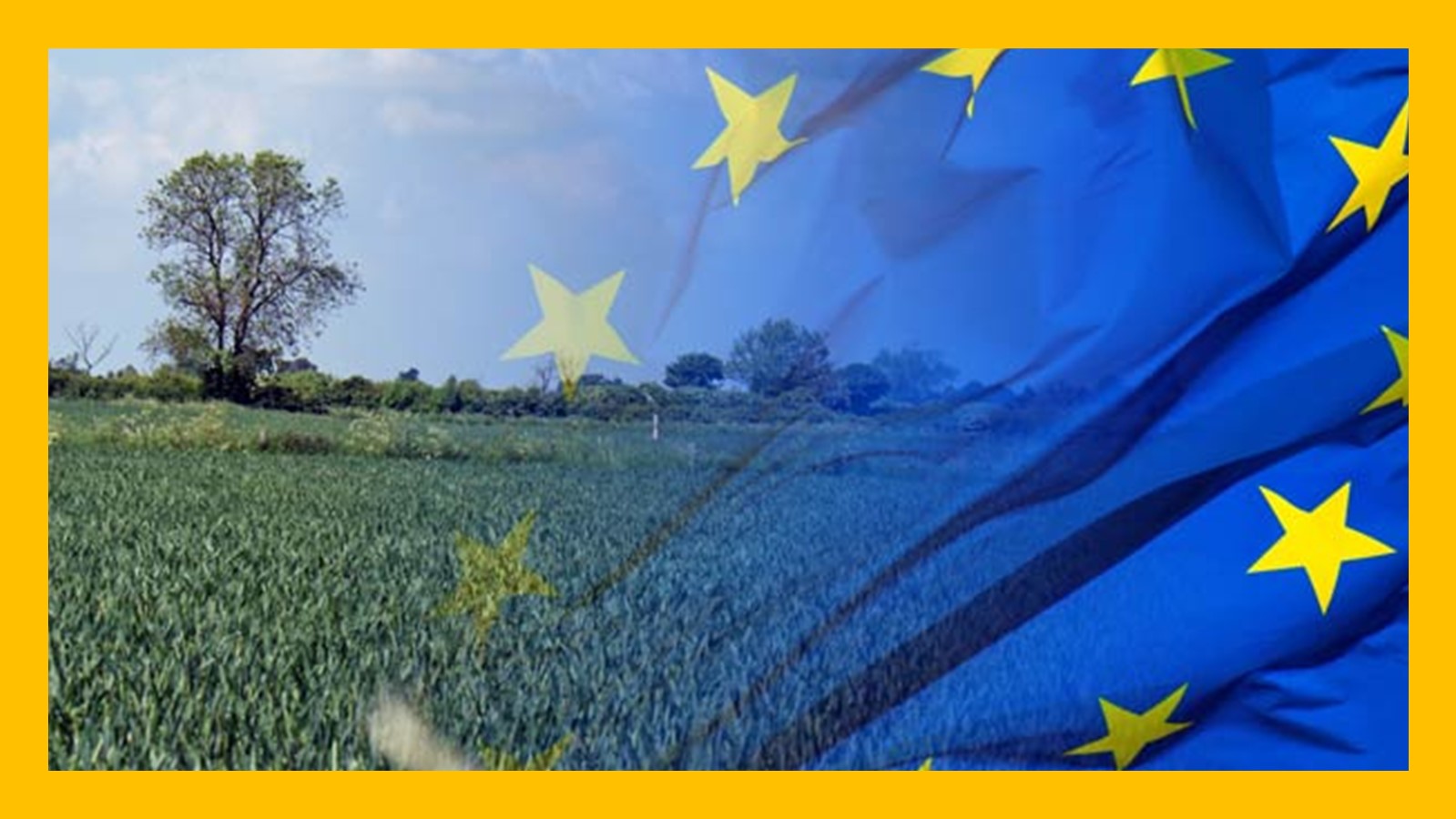 Organizațiile din agribusinessul european cer revizuirea strategiilor CE