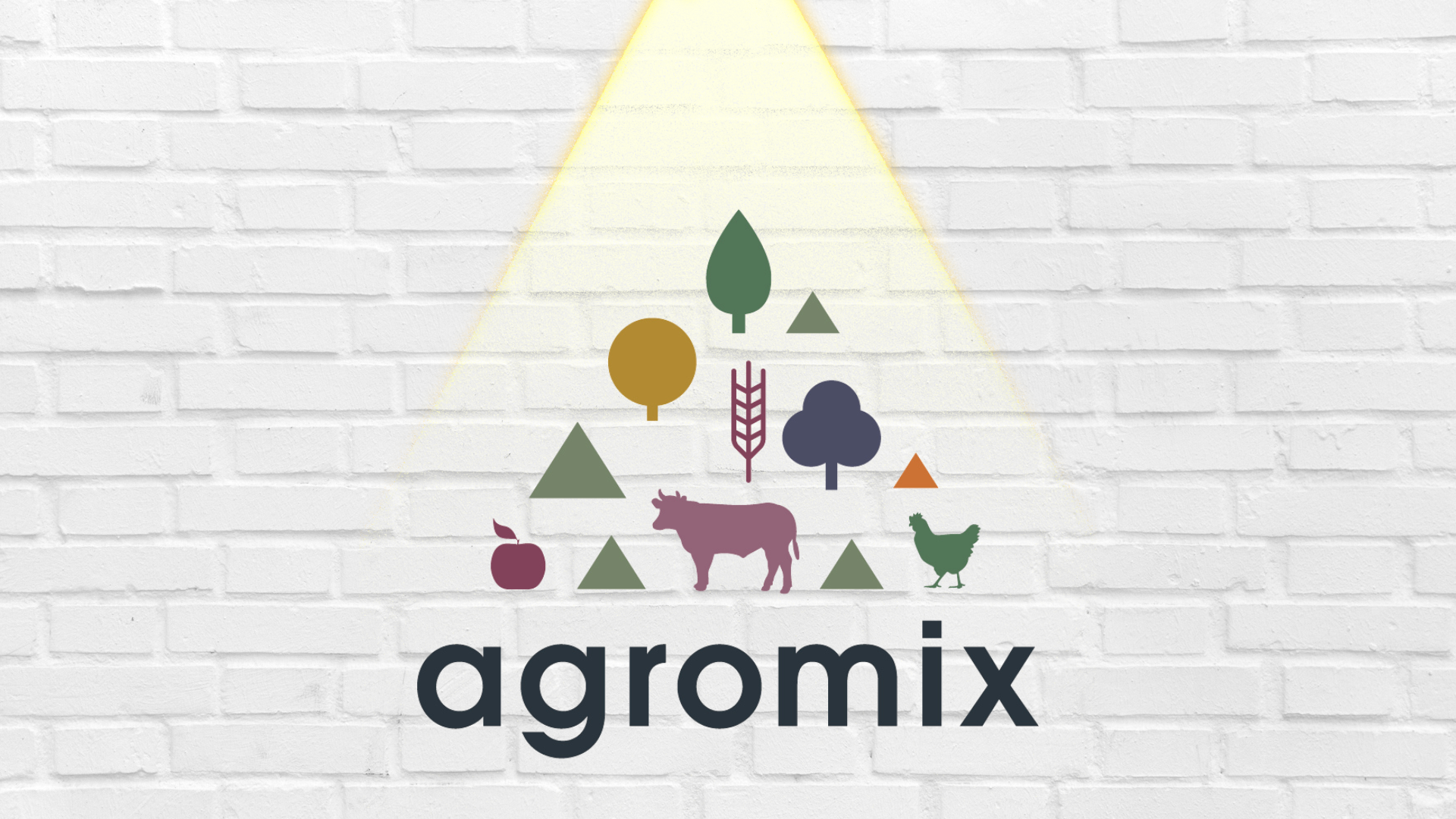 AGROMIX_new2